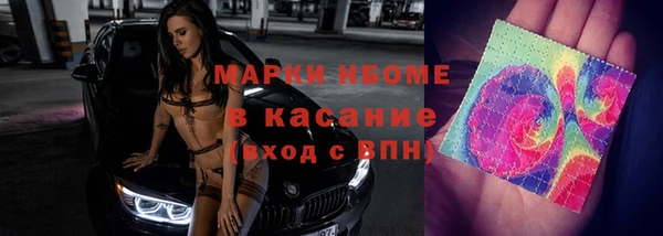 гашик Арсеньев