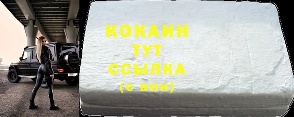 гашик Арсеньев