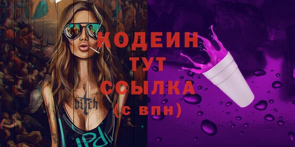 гашик Арсеньев