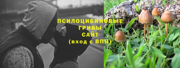 гашик Арсеньев